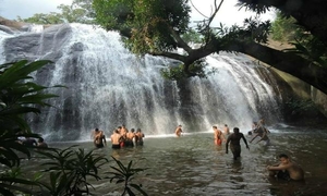 Swim in Nature